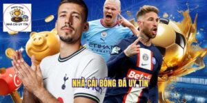 tổng quan 5 nhà cái bóng đá uy tín gồm FB88, W88, 188Bet, 8Xbet và Fun88, nổi bật với tỷ lệ kèo chuẩn và hệ thống bảo mật mạnh.